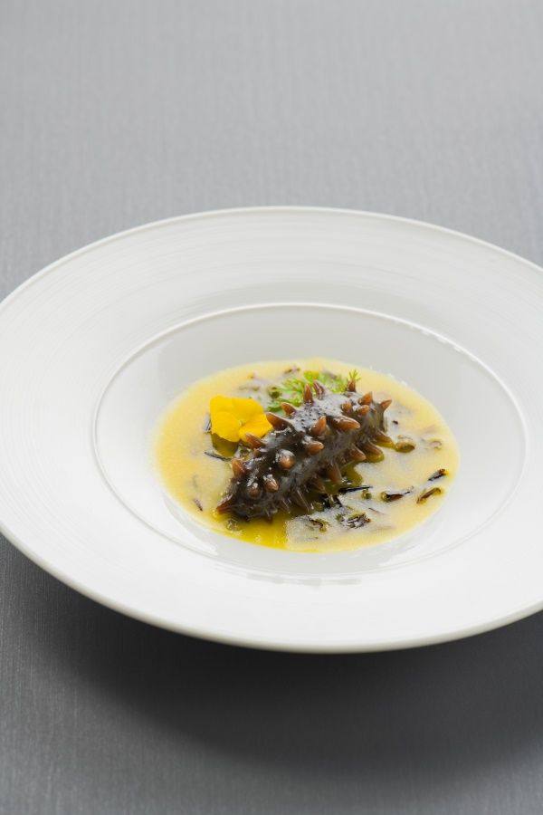 浓汁野米烩辽参