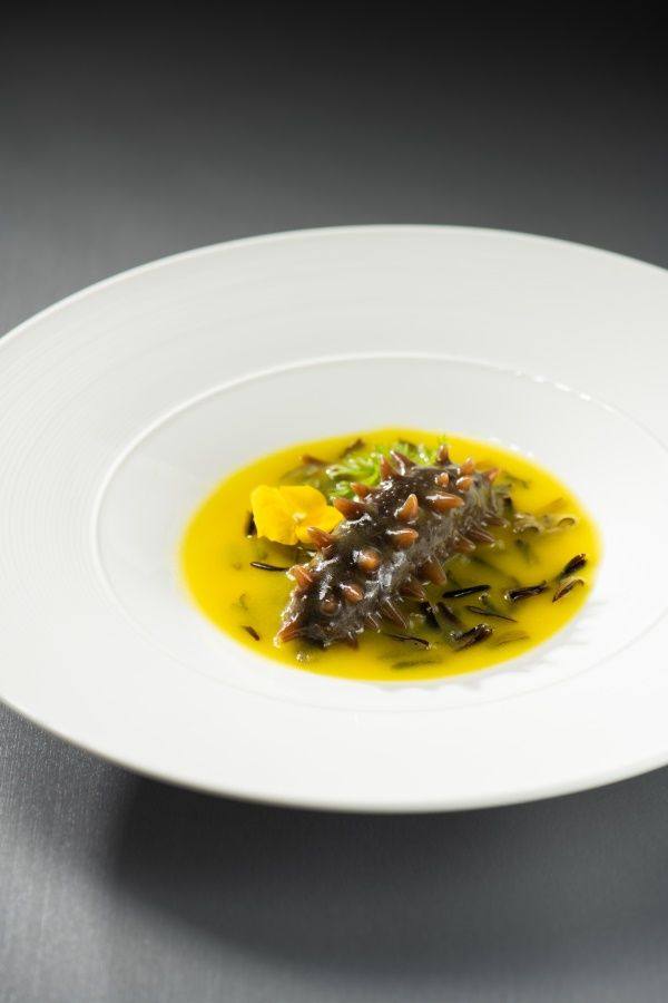 浓汁野米烩辽参